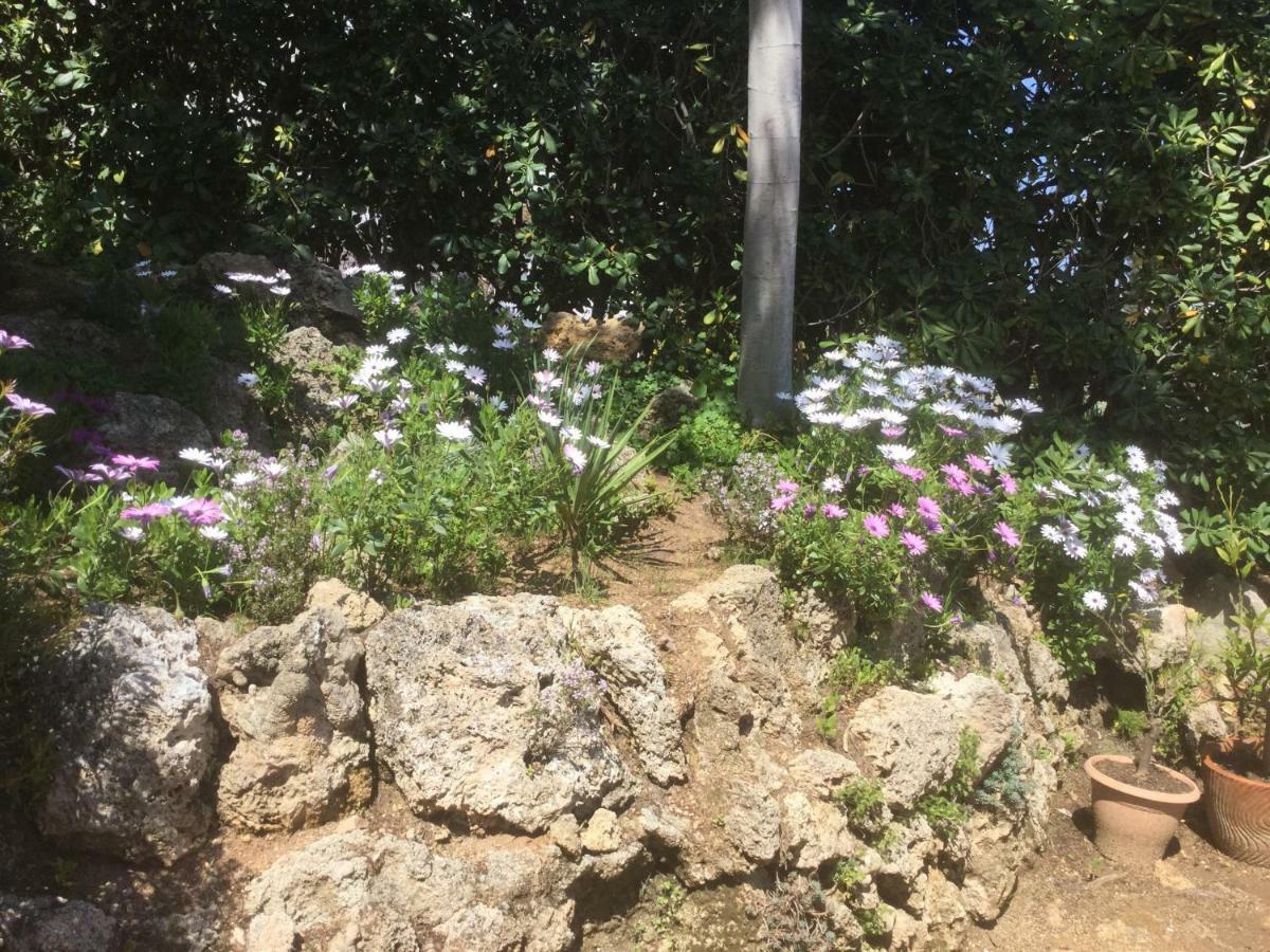 Villa Macoran 2 Etoiles 생타굴프 외부 사진