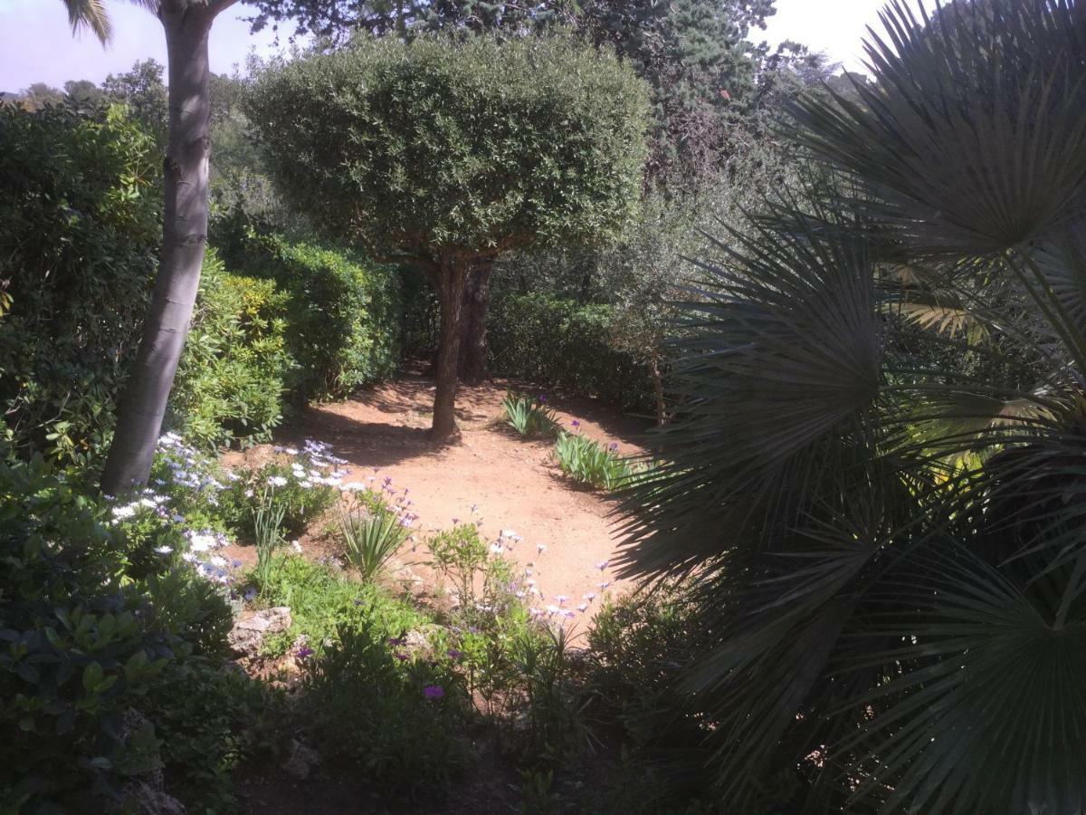 Villa Macoran 2 Etoiles 생타굴프 외부 사진
